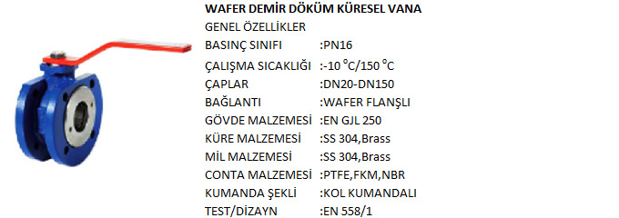 wafer-demir-dokum-kuresel-vana-genel-ozellik